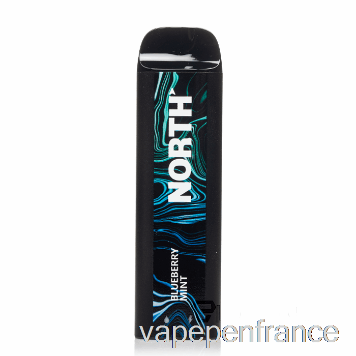 Stylo Vape Jetable à La Menthe Et Aux Myrtilles North 5000